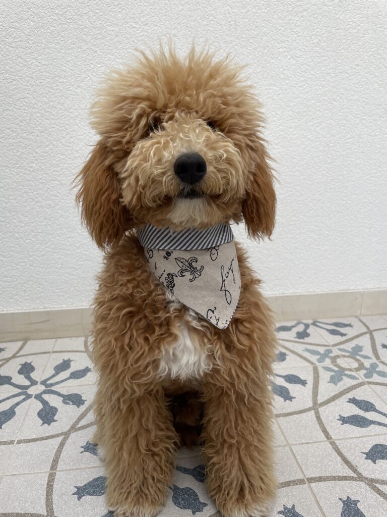 bandana double-face france