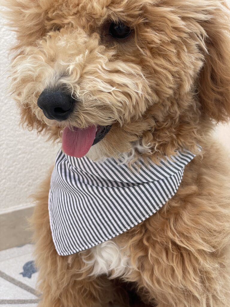 Bandana a righe azzurre